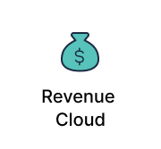 Revenue 
                                                Cloud