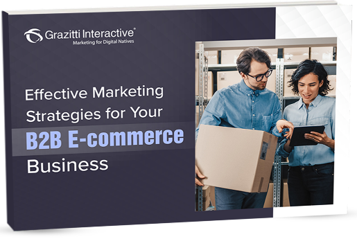 Effective Digital Marketing Strategies for Your B2B eCommerce Business