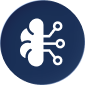 AI Services