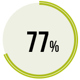 audit graphic1